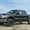 ICON 2014 Ford F-150 4wd 0-3″ Suspension Systems