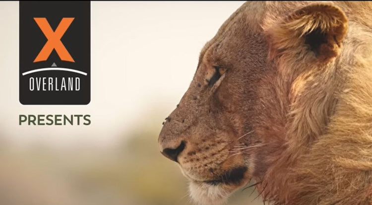 APEX Series | Africa