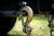BulletProof Medium Duty 5/16" Safety Chains (Pair)