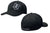 ICON Shield-Logo FlexFit Hat