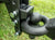 BulletProof Pintle Attachment