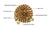 BulletProof Light Duty 1/4" x 12' Transport Chain