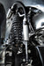 ICON 2023 Ford F-250/F-350 Super Duty 4WD Diesel, 2.5" Lift, Front, Dual Rate Coil Spring Kit w/ Caster Cams