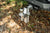 BulletProof 2.0" Aluminum Medium Duty 6" Drop/Rise Hitch