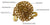 BulletProof Extreme Duty 1/2" x 16' Transport Chain