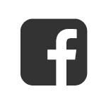 ICON Vehicle Dynamics